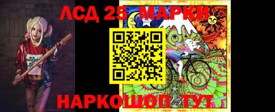 индика Беслан