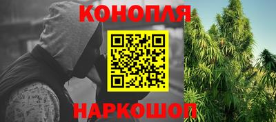 индика Беслан