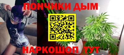 индика Беслан