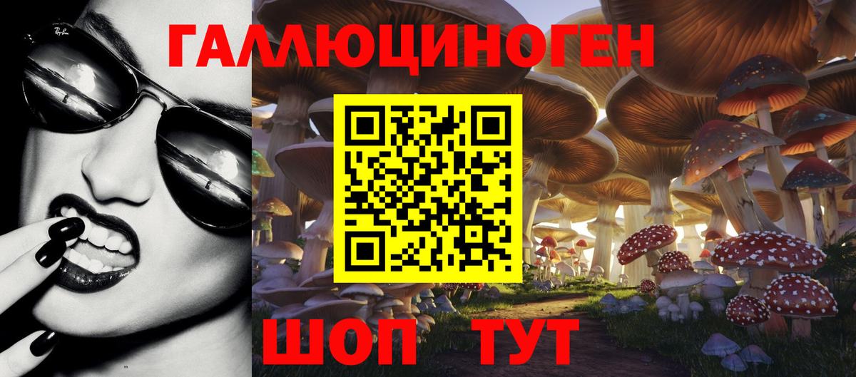 Выборг  Псилоцибиновые грибы ЛСД  Галлюциногенные грибы GOLDEN TEACHER  Вход с VPN 