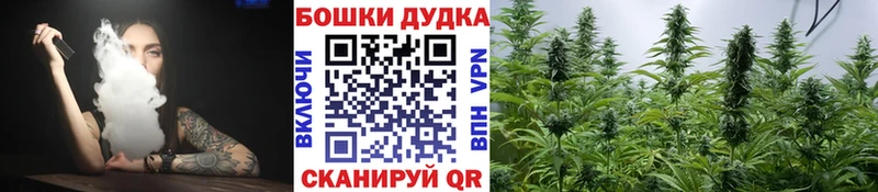 Шишки марихуана Amnesia  Выборг 